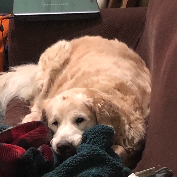 Meet your Posher, Julia - Picture 1 of 1